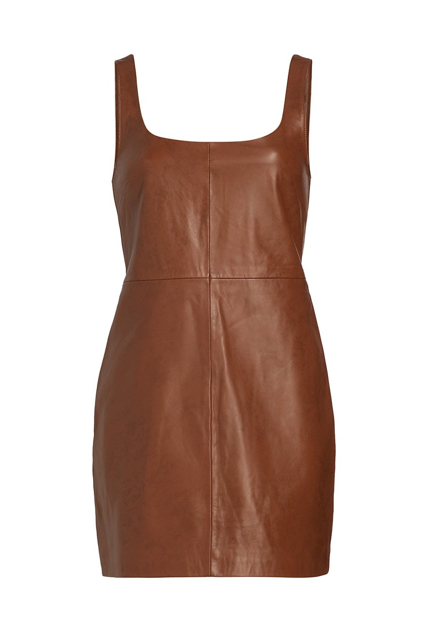 
  
  Delaney Leather Mini Dress
  
